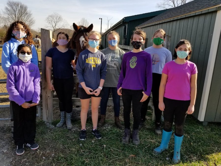 Clague, Tappan girls ensure rescue horses have clean water