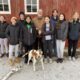 Volunteers write new chapter for rescued dogs’ ongoing story